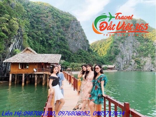 Du Lịch Flamingo Cát Bà vịnh Lan Hạ 2 ngày từ Vĩnh Phúc