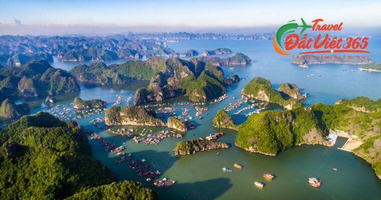 Du lịch Cát Bà 3 ngày 2 đêm giá rẻ từ Vĩnh Phúc