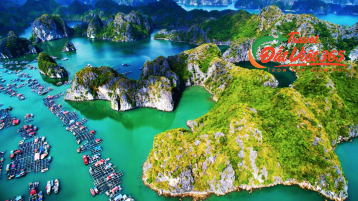 Du lịch Cát Bà 3 ngày 2 đêm giá rẻ từ Vĩnh Phúc