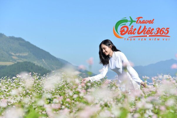 Du lịch Hà Giang 3N2Đ giá rẻ từ Vĩnh Phúc