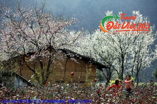Tour du lịch Na Hang Hồng Thái 3 ngày 2 đêm giá rẻ 2024