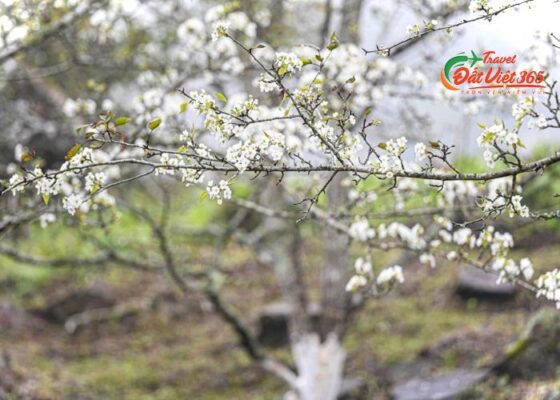 du lịch tuyên quang 2 ngày