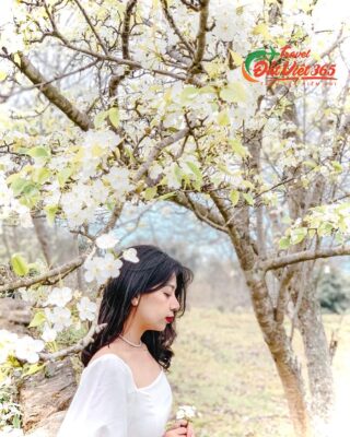 TOUR DU LỊCH NA HANG TUYÊN QUANG
