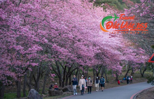 Tour Du Lịch Đài Loan Đài Bắc Đài Trung 5N4Đ từ Hà Nội