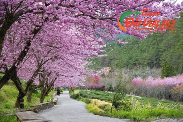 Tour Du Lịch Tết Đài Loan Đài Bắc Đài Trung 5N4Đ