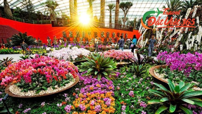 Tour Du Lịch Singapore Malaysia Tết Nguyên Đán 2024