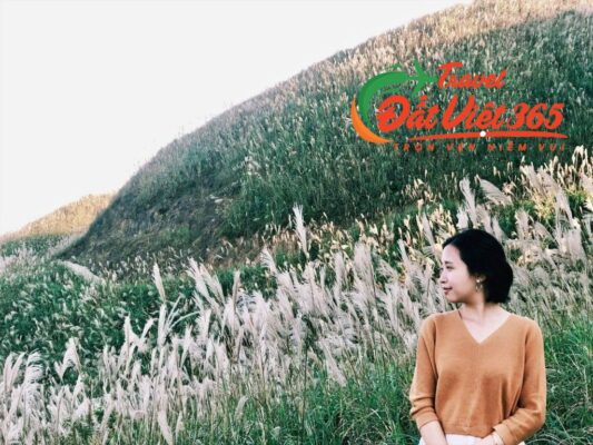 Tour du lịch Bình Liêu Quảng Ninh 2 ngày mùa Hoa Lau