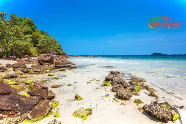 tour phú quốc