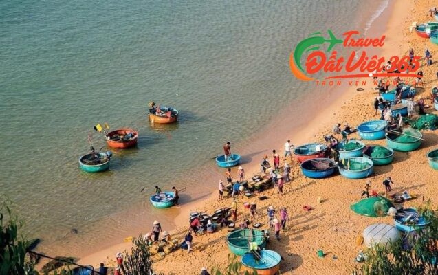 Du lịch Quy Nhơn Phú Yên 4N3D giá rẻ từ TP.HCM