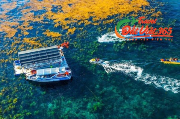 Du lịch Quy Nhơn Phú Yên 4N3D giá rẻ từ Hà Nội