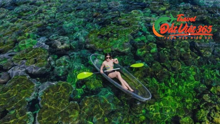 Tour du lịch Quy Nhơn Phú Yên 3N2D từ TPHCM