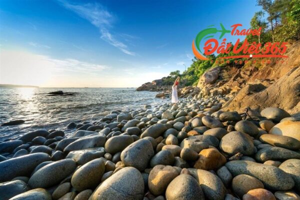 Tour Quy Nhơn Phú Yên 5N4Đ giá rẻ từ Hà Nội