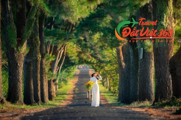 Tour Tây Nguyên 4 ngày 3 đêm từ Hà Nội/ tp.HCM