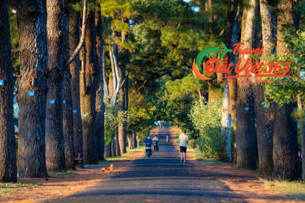 Tour du lịch Tây Nguyên 5N4Đ từ Hà Nội/ tp.HCM