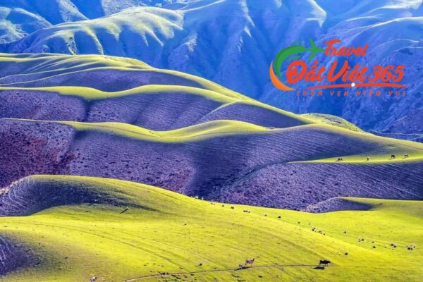 Tour Du lịch Tân Cương 10N9Đ từ TP.HCM