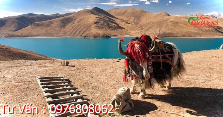 tour du lịch tây tạng 8 ngày 7 đêm