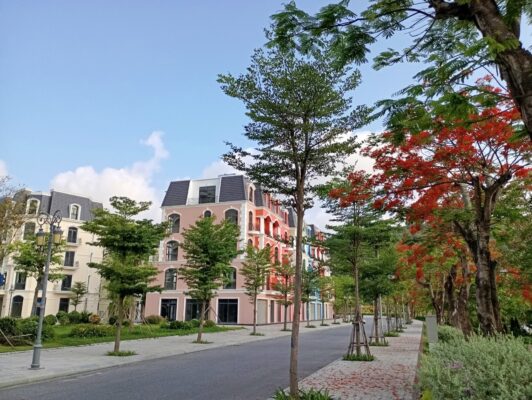 KHÁCH SẠN GẦN ĐỒI RỒNG ĐỒ SƠN