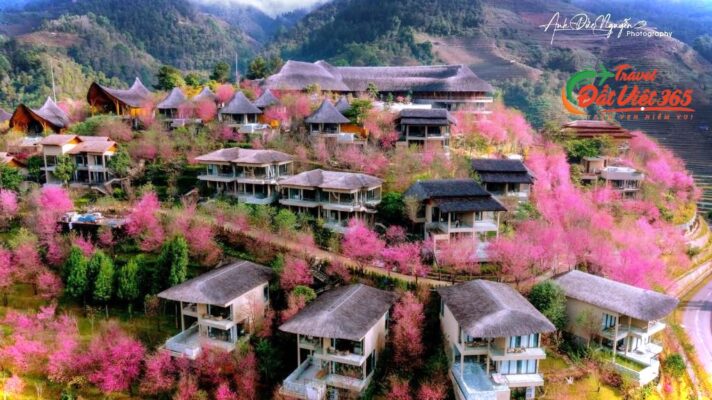 tour mù cang chỉ