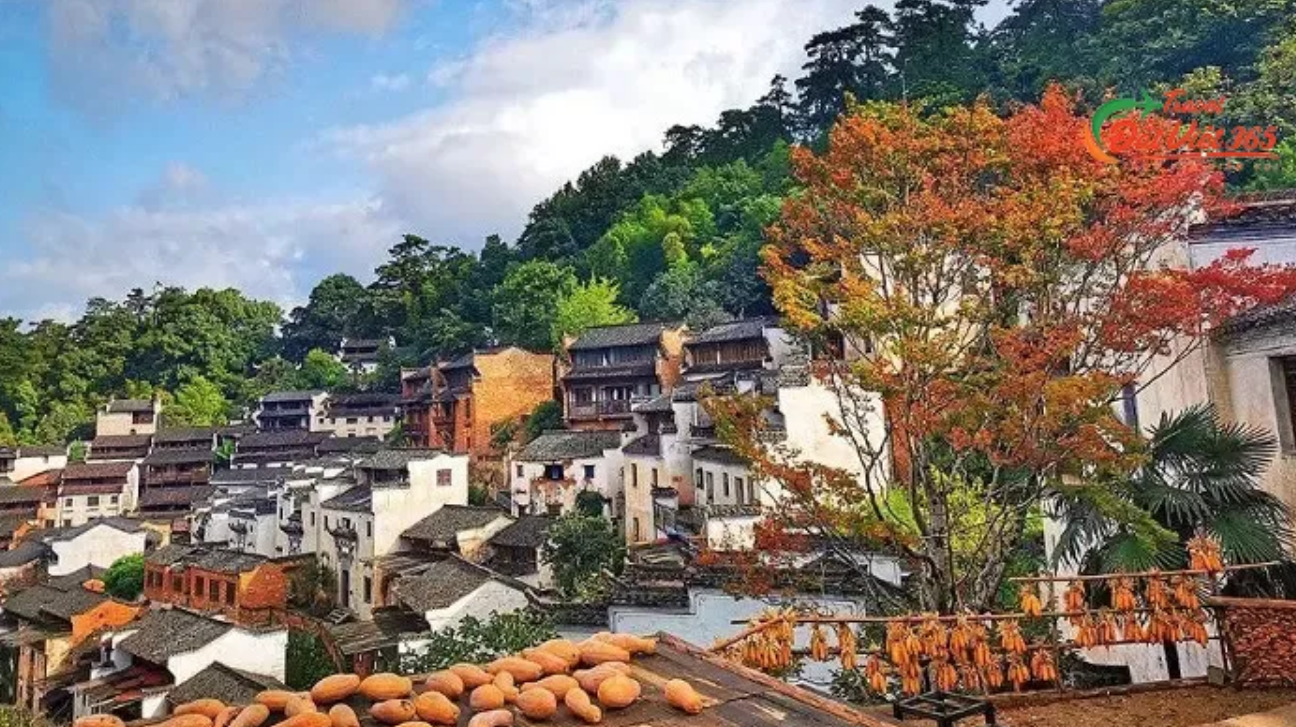 AA