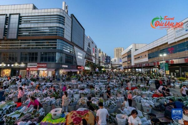 Tour Đại Lý - Côn Minh 4 Ngày 3 Đêm Từ Hà Nội, Review Kinh Nghiệm Du Lịch 