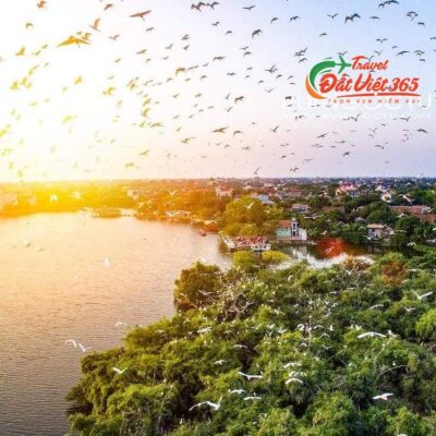 Tour Côn Sơn Kiếp Bạc – Đền Chu Văn An – Đảo Cò Chi Lăng – Văn Miếu Mao Điền 1 Ngày, Review Kinh Nghiệm Du Lịch