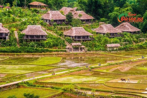 Tour Du Lịch Nghỉ Dưỡng Avana Retreat Mai Châu Hòa Bình 2 Ngày 1 Đêm, Review Kinh Nghiệm Du Lịch