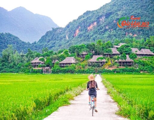 Tour Du Lịch Nghỉ Dưỡng Avana Retreat Mai Châu Hòa Bình 2 Ngày 1 Đêm, Review Kinh Nghiệm Du Lịch