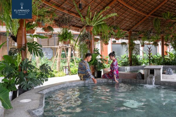 du lịch flamingo tân trào