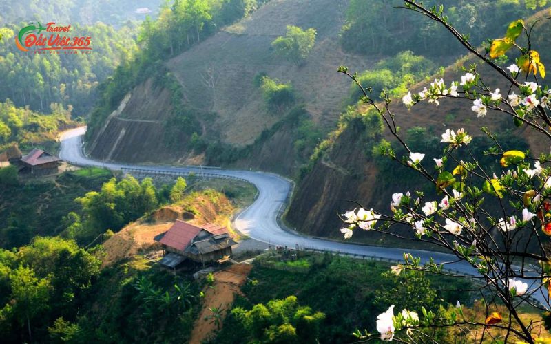 Tour Du Lịch Điện Biên