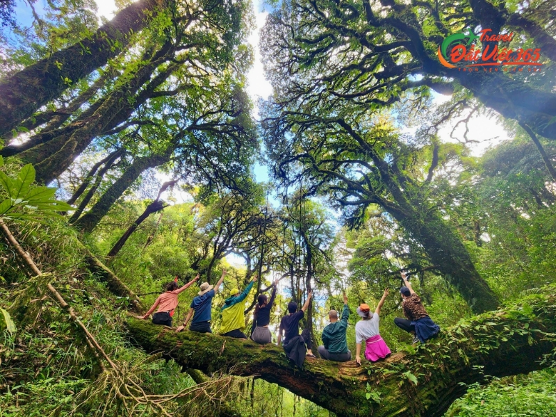 Tour Du Lịch Đông Bắc