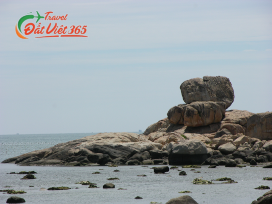 Tour du lịch Nha Trang