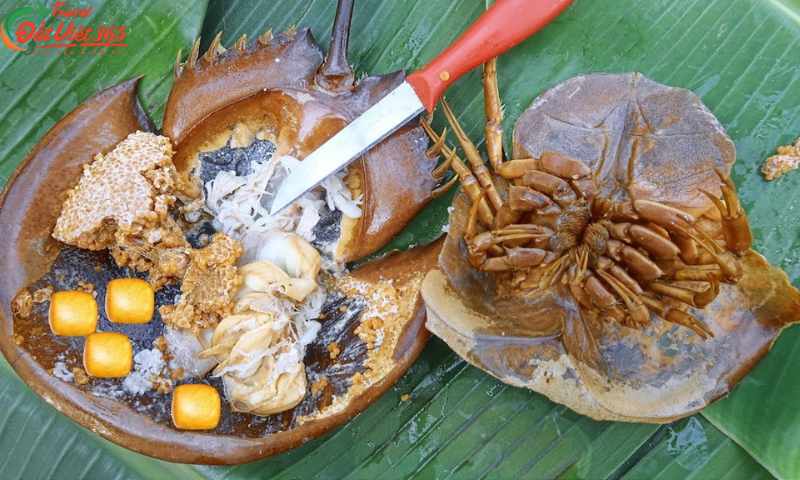 Tour du lịch Móng Cái, Trà Cổ