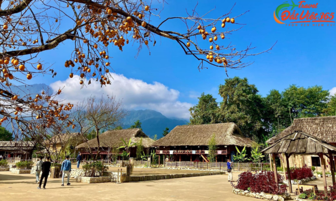 Du lịch Sapa 4 ngày 3 đêm