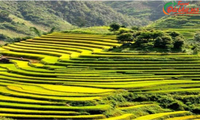 Chi phí du lịch Sapa từ TPHCM