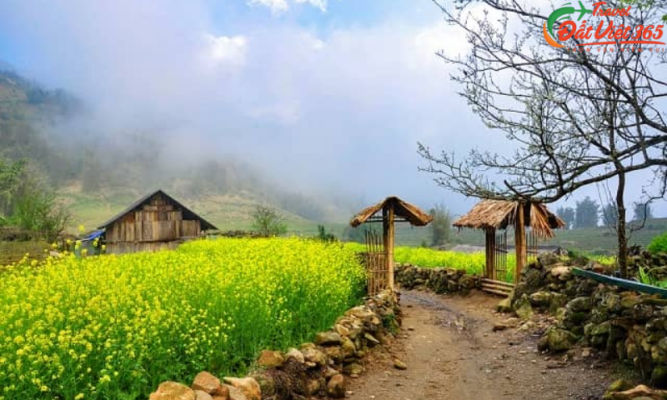 chi phí du lịch Sapa từ TPHCM