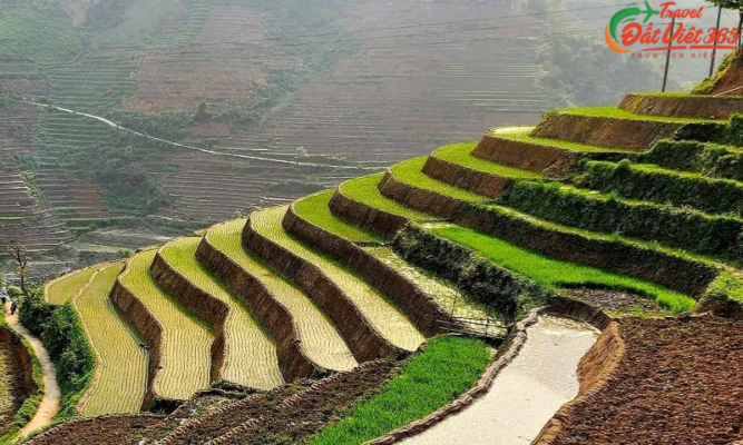 Chi phí dự kiến cho chuyến du lịch Sapa 3 ngày 2 đêm