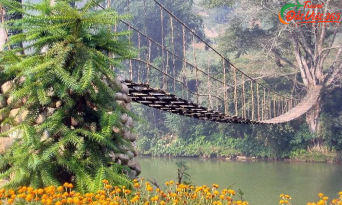 Cầu Mây Tả Van – Điểm sống ảo cực chill