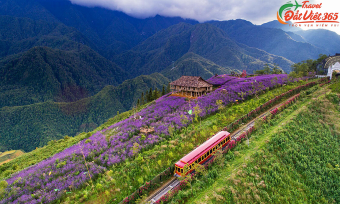 Thung lũng Mường Hoa – Nét thơ giữa núi rừng