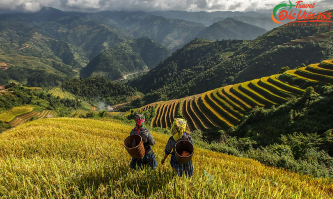 Tour du lịch Sapa 2 ngày 1 đêm của Đất Việt 365 – Trải nghiệm khác biệt