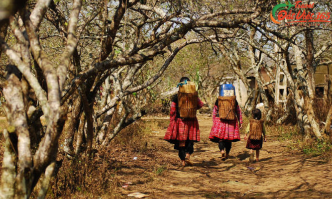 Gợi ý chi phí du lịch Sapa 4 ngày 3 đêm