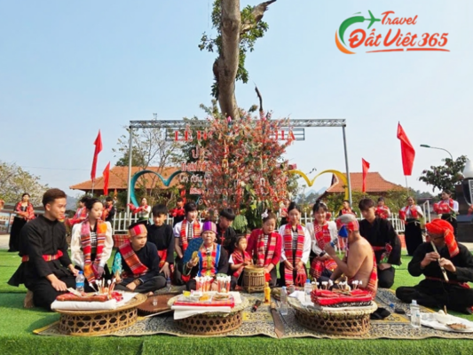 Tour du lịch Mộc Châu