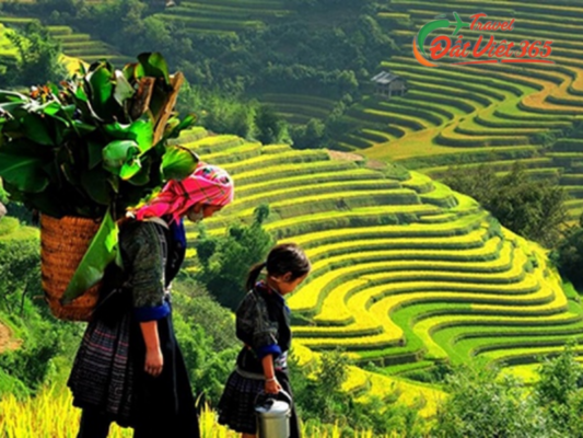 Tour du lịch Mộc Châu