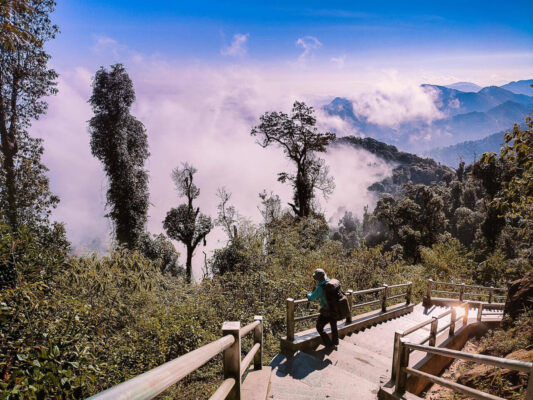 tour điện biên